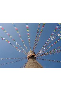 Genuine Large Tibetan Prayer Flags ( Lung Ta) - Fair Trade - Handmade by the Tibetan Buddhist community in Nepal