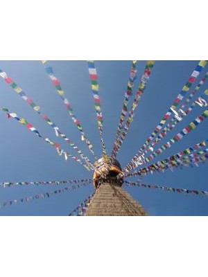 Genuine Medium Tibetan Prayer Flags ( Lung Ta) - Fair Trade - Handmade by the Tibetan Buddhist community in Nepal